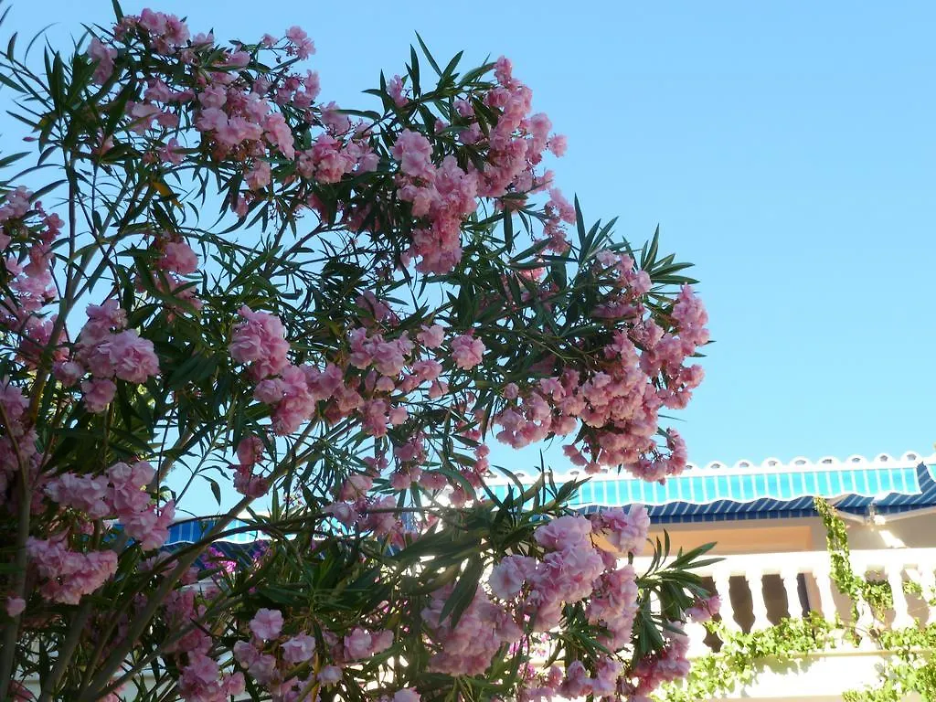 Villa Maxine Marbella 0*,  Spain